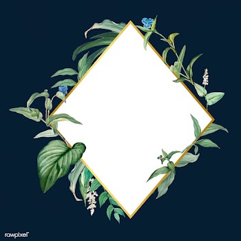 Empty frame with green leaves design vector | Free stock vector - 520554