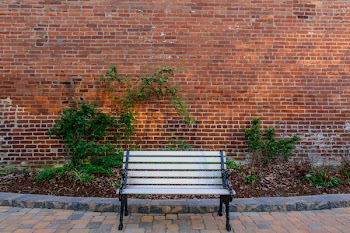Empty park bench with red brick background.