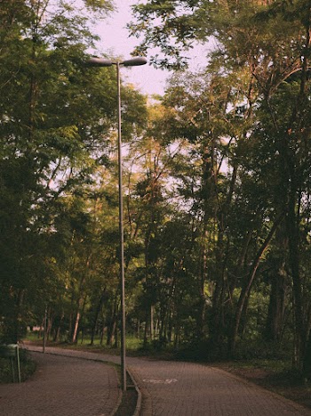 Empty Park With Light Post