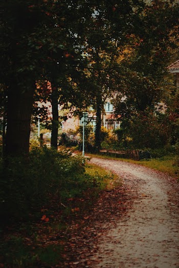 Empty Pathway