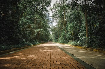 Empty Pathway