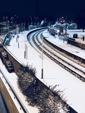 Empty Railroad