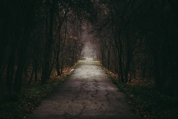 Empty Road