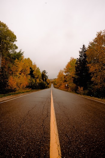 Empty Road