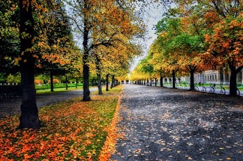 Empty Road