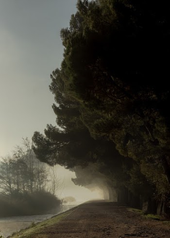 Empty Road