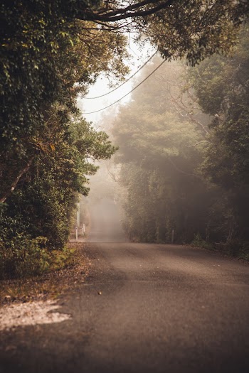 Empty Road
