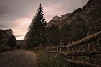 Empty Road