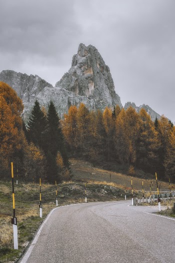 Empty Road