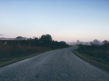 empty road between green leaf trees