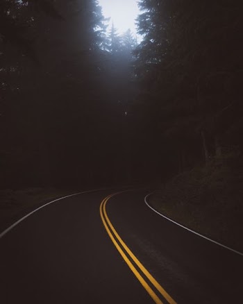 empty road curvature surrounded by trees
