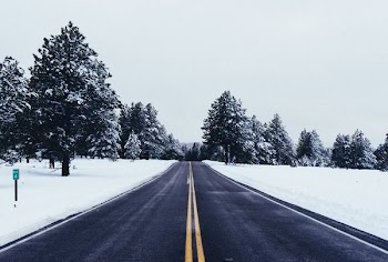 empty road near trees covered in snow at daytime