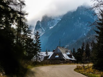 Empty Road Near Wooden Cabin