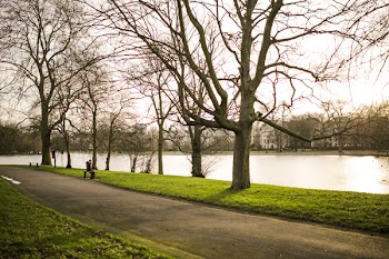 Empty Road With Trees at the Side Near Lake during Daytime