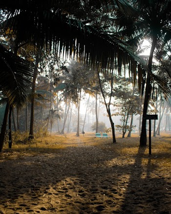 Empty Sand Plains