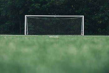 Empty Soccer Net In Front Of Forest Low Angle