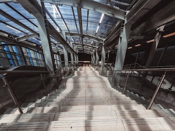 Empty Stairway With Railings