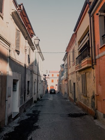 Empty Street Surrounded by Houses