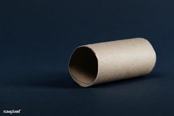 Empty toilet paper roll  | Free  photo - 2300423