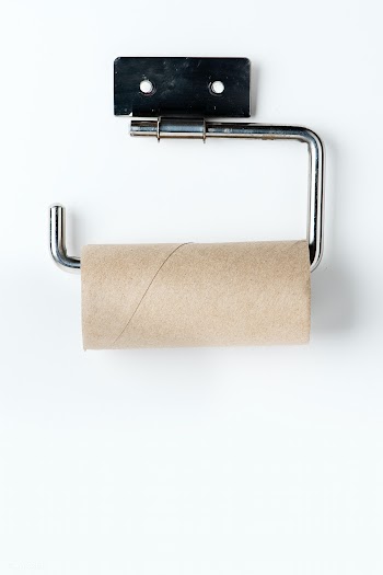 Empty toilet paper roll on a holder | Free  photo - 2313188
