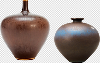 Empty Vase PNG Pic