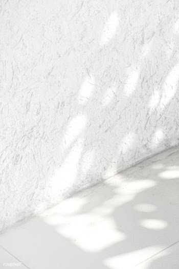 Empty white corner with tropical leaf shadow | Free  photo - 2260493