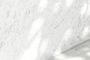 Empty white corner with tropical leaf shadow | Free  photo - 2310862