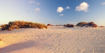 Empty White Desert Near Grasses