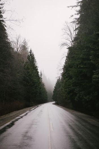 empty winding foggy road