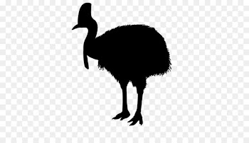 Emu Common ostrich Clip art Fauna Silhouette -  