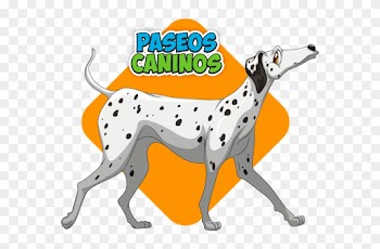 En Club Family Dogs Ofrecemos Todos Los Servicios Para - Sunman Köpekler 20 Parça Frame Puzzle