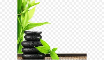 Enas European Day Spa Massage Beauty Parlour - SPA health green poster 