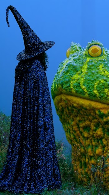 Enchanted Encounter: Witch and Giant Frog