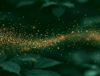 Enchanted Firefly Glow in a Lush Forest