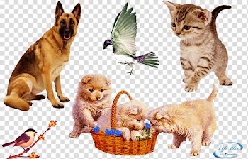 Enchanting, assorted animal illustration transparent background PNG clipart