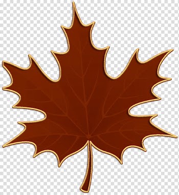 Enchanting Autumn Elements, maple eaf transparent background PNG clipart