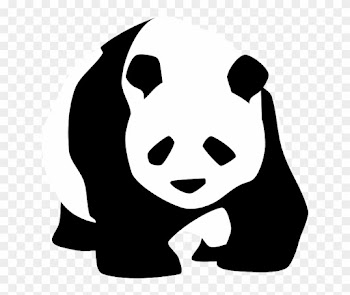 Endangered Species On The Rise The Impact Of Humans - Panda Black And White