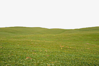Endless Prairie, Green, Grassland, Vast PNG Image and Clipart for ...