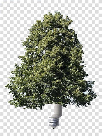 Energy conservation Spruce Renewable energy, Creative energy saving trees transparent background PNG clipart