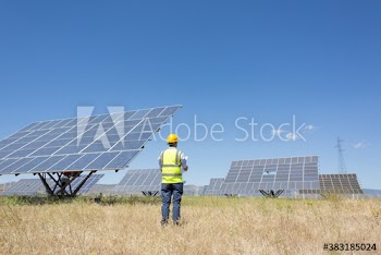 Engineer examining solar panels in sunny rural field