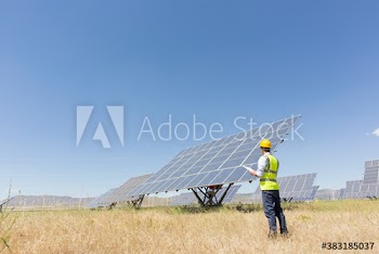 Engineer examining solar panels in sunny rural field