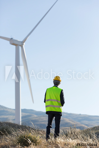 Engineer examining wind turbine on sunny wind farm
