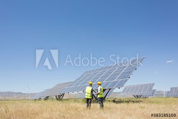 Engineers examining solar panels in sunny rural field