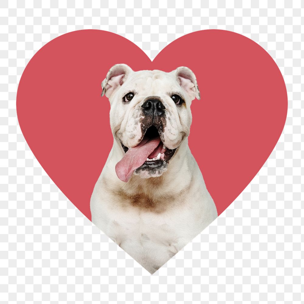 English bulldog png badge sticker, | Free PNG - rawpixel