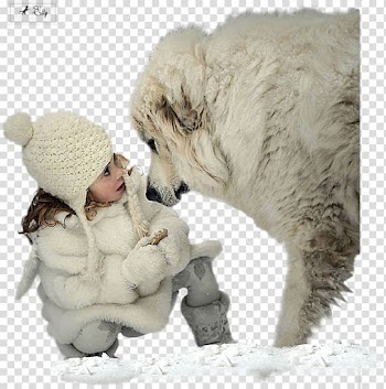 English Cocker Spaniel Winter Animal Puppy Kitten, watercolor transparent background PNG clipart