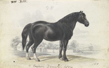 English Draught Horse by Charles | Free Photo - rawpixel
