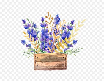 English lavender Watercolor painting Flower Drawing Box - Watercolor flower baskets 