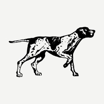 English pointer, dog illustration psd. | Free PSD Illustration - rawpixel