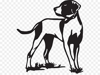 English Setter Pointer Hunting dog Bird dog - hunting dog 