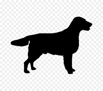 English Springer Spaniel English Cocker Spaniel Dachshund Welsh Springer Spaniel Jack Russell Terrier -  